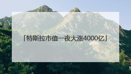 特斯拉市值一夜大涨4000亿