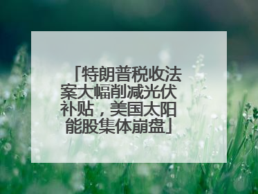 特朗普税收法案大幅削减光伏补贴，美国太阳能股集体崩盘