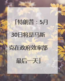 特朗普：5月30日将是马斯克在政府效率部最后一天