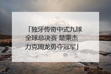 独牙传奇中式九球全球总决赛 楚秉杰力克周龙勇夺冠军