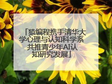 猿编程携手清华大学心理与认知科学系 共推青少年AI认知研究发展