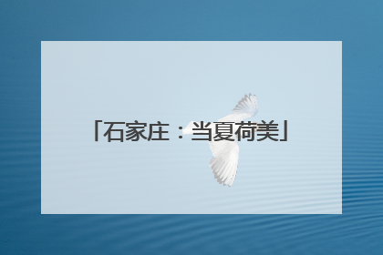 石家庄：当夏荷美