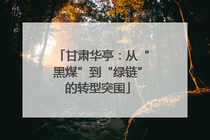 甘肃华亭：从“黑煤”到“绿链”的转型突围