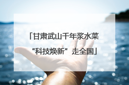 甘肃武山千年浆水菜“科技焕新”走全国