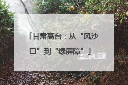甘肃高台：从“风沙口”到“绿屏障”