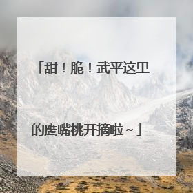 甜！脆！武平这里的鹰嘴桃开摘啦～