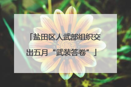 盐田区人武部组织交出五月“武装答卷”