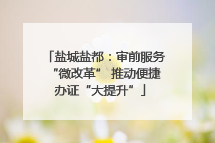盐城盐都：审前服务“微改革” 推动便捷办证“大提升”