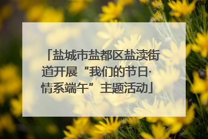 盐城市盐都区盐渎街道开展“我们的节日·情系端午”主题活动