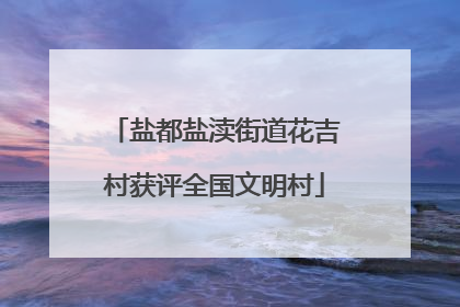 盐都盐渎街道花吉村获评全国文明村
