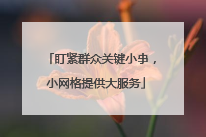 盯紧群众关键小事，小网格提供大服务