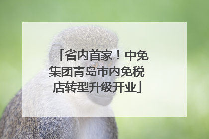省内首家！中免集团青岛市内免税店转型升级开业
