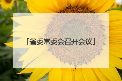 省委常委会召开会议