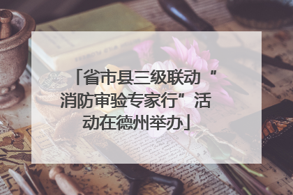 省市县三级联动“消防审验专家行”活动在德州举办