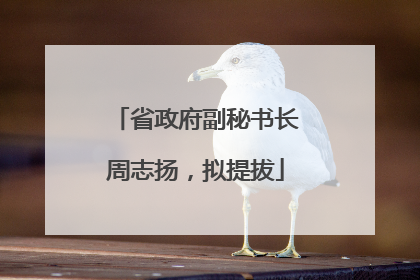 省政府副秘书长周志扬，拟提拔