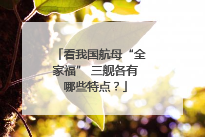 看我国航母“全家福” 三舰各有哪些特点？