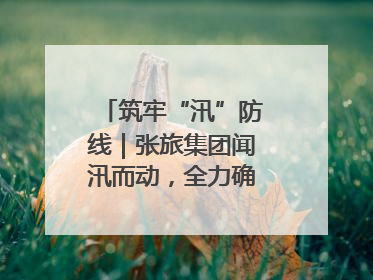 筑牢“汛”防线｜张旅集团闻汛而动，全力确保安全度汛