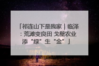 祁连山下是我家｜临泽：荒滩变良田 戈壁农业添“绿”生“金”