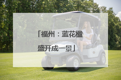 福州：蓝花楹盛开成一景