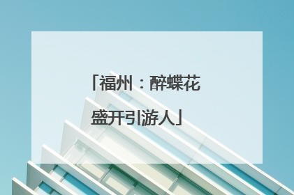 福州：醉蝶花盛开引游人