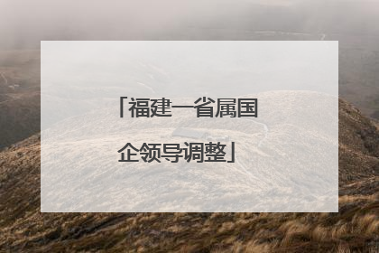 福建一省属国企领导调整