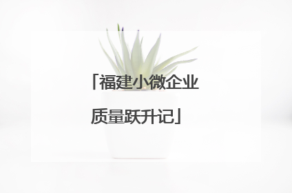 福建小微企业质量跃升记