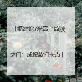 福建馆7米高“简牍之门”成爆款打卡点