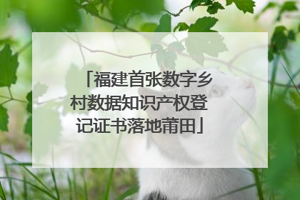 福建首张数字乡村数据知识产权登记证书落地莆田