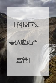 科技巨头需适应更严监管