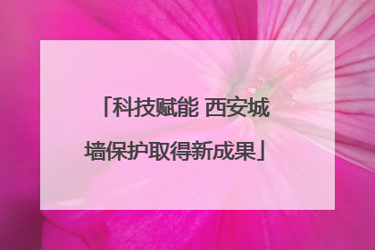 科技赋能 西安城墙保护取得新成果