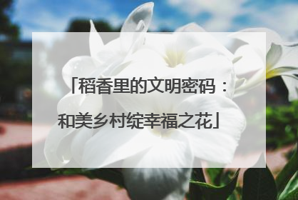 稻香里的文明密码：和美乡村绽幸福之花