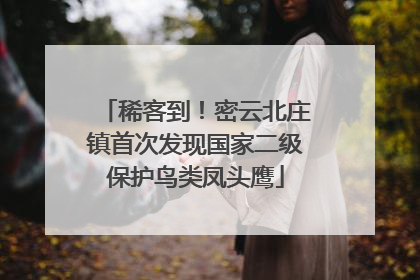 稀客到！密云北庄镇首次发现国家二级保护鸟类凤头鹰