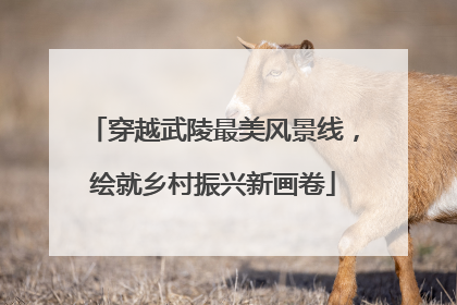 穿越武陵最美风景线，绘就乡村振兴新画卷