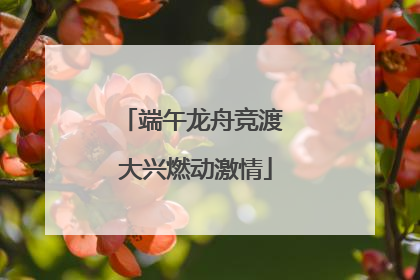 端午龙舟竞渡 大兴燃动激情