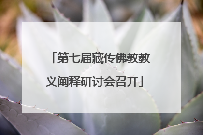 第七届藏传佛教教义阐释研讨会召开