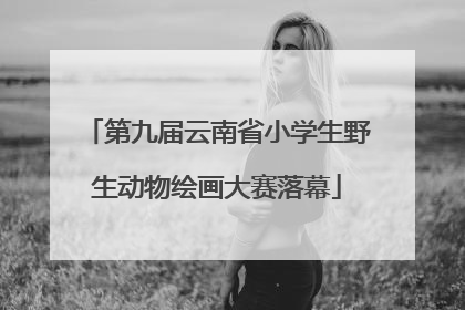 第九届云南省小学生野生动物绘画大赛落幕