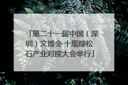 第二十一届中国（深圳）文博会·十堰绿松石产业对接大会举行