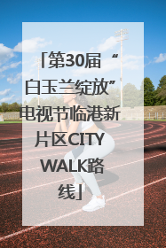第30届“白玉兰绽放”电视节临港新片区CITY WALK路线