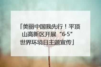 美丽中国我先行！平顶山高新区开展“6·5”世界环境日主题宣传