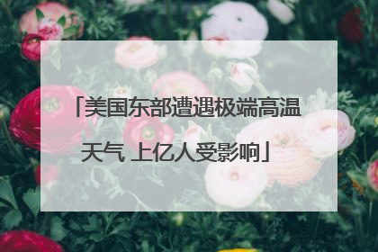 美国东部遭遇极端高温天气 上亿人受影响