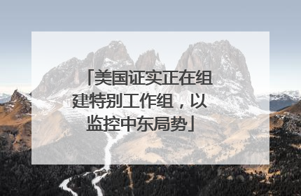 美国证实正在组建特别工作组，以监控中东局势