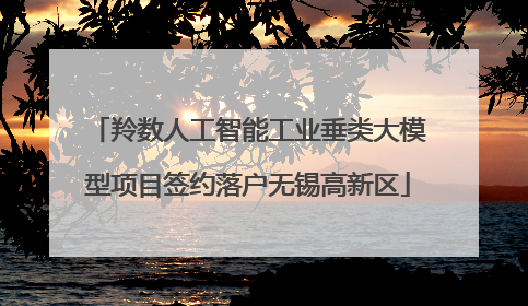 羚数人工智能工业垂类大模型项目签约落户无锡高新区
