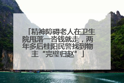 精神障碍老人在卫生院甩落一沓钱就走，两年多后桂阳民警找到物主“完璧归赵”