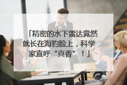 精密的水下雷达竟然就长在海豹脸上，科学家直呼“真香”！