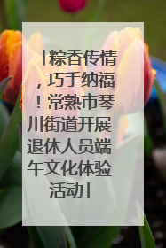粽香传情，巧手纳福！常熟市琴川街道开展退休人员端午文化体验活动