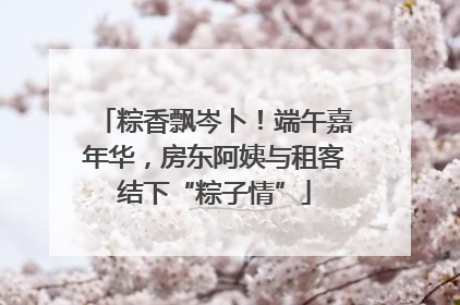 粽香飘岑卜！端午嘉年华，房东阿姨与租客结下“粽子情”