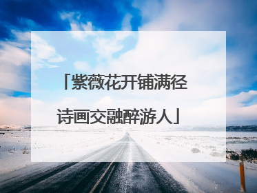 紫薇花开铺满径 诗画交融醉游人