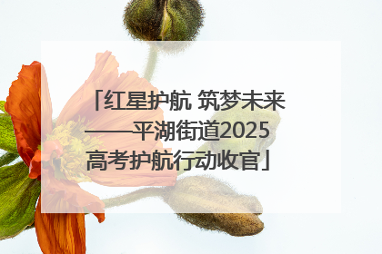 红星护航 筑梦未来——平湖街道2025高考护航行动收官
