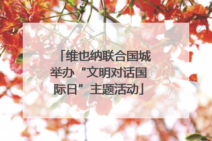 维也纳联合国城举办“文明对话国际日”主题活动