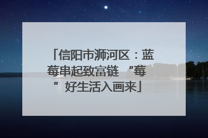 信阳市浉河区：蓝莓串起致富链 “莓”好生活入画来